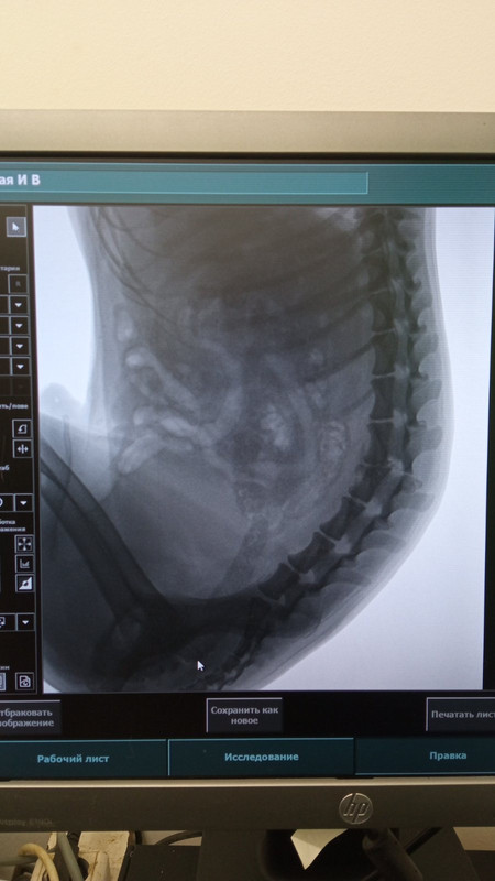 E580FA83-E115-47F6-AC24-361D88AAEF7D