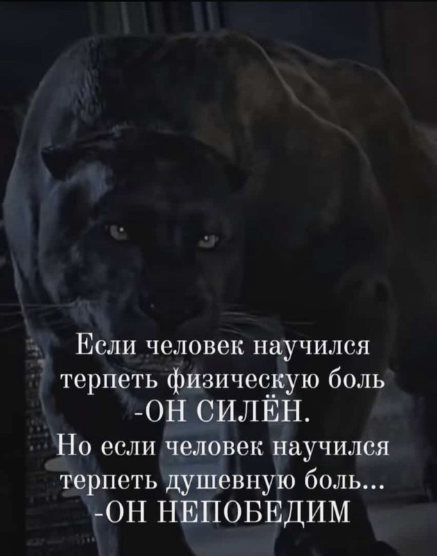 [Изображение: 6e9a2d3ca22f5dce9ea05e9bc61b87e1.jpg]