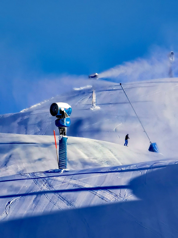 IMG_20221127_084931_edit_965716668218788