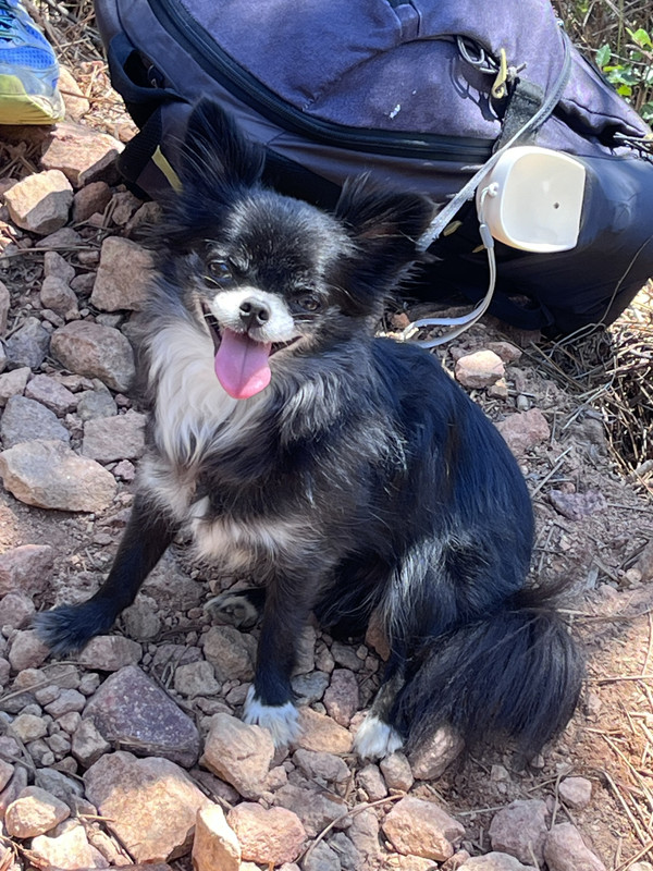 [Image: IMG-9072.jpg]