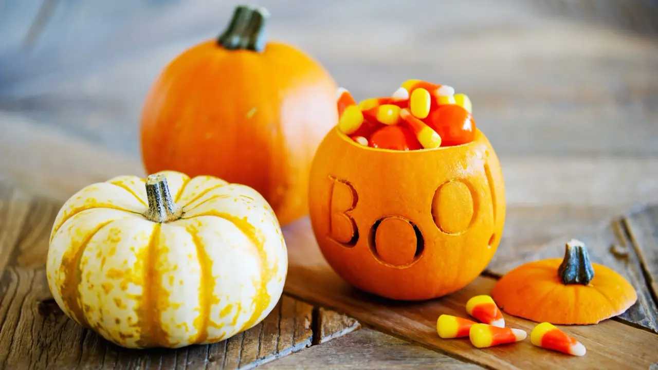 Pumpkins 0023
