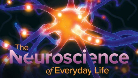 TGC   Neuroscience of Everyday Life