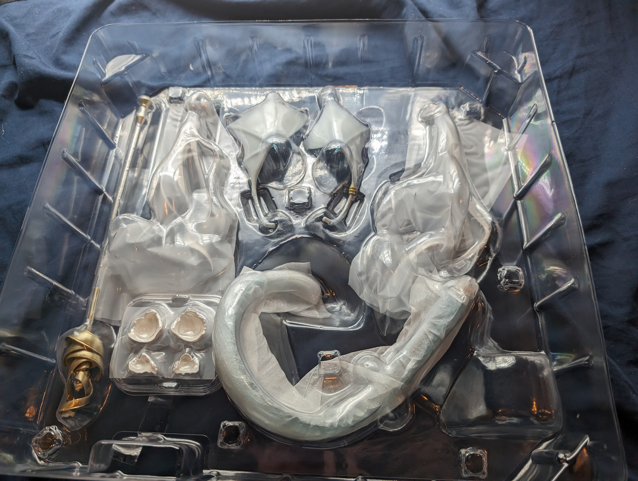 PXL 20240312 014412151