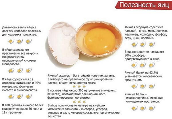 Как употреблять яичные продукты