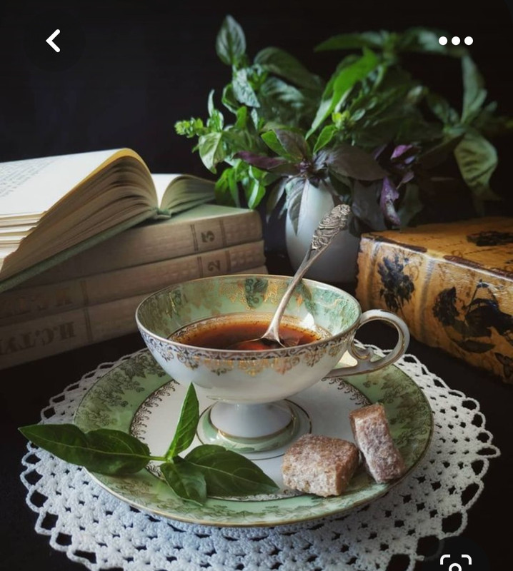 Screenshot_20230710_234542_Pinterest