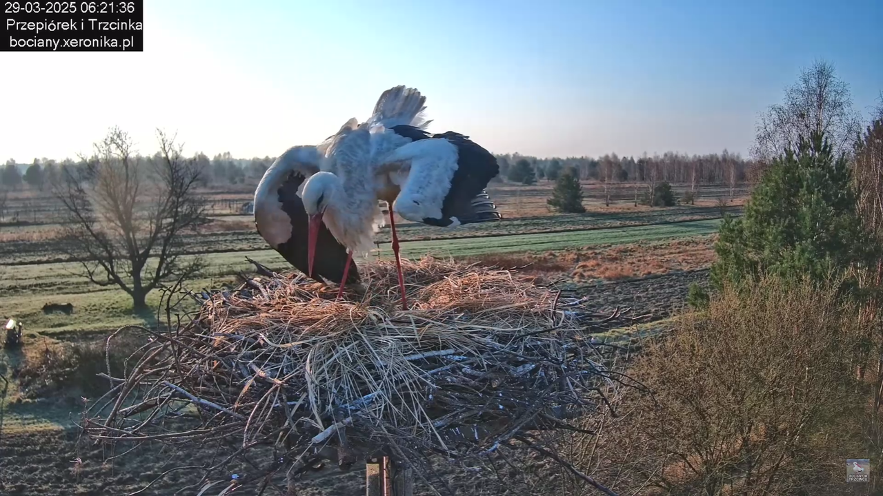 29032025porannezamieszanie_40