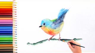 Paint Birds in Watercolor step by step tutorial Paint Birds in Watercolor step by step tutorial