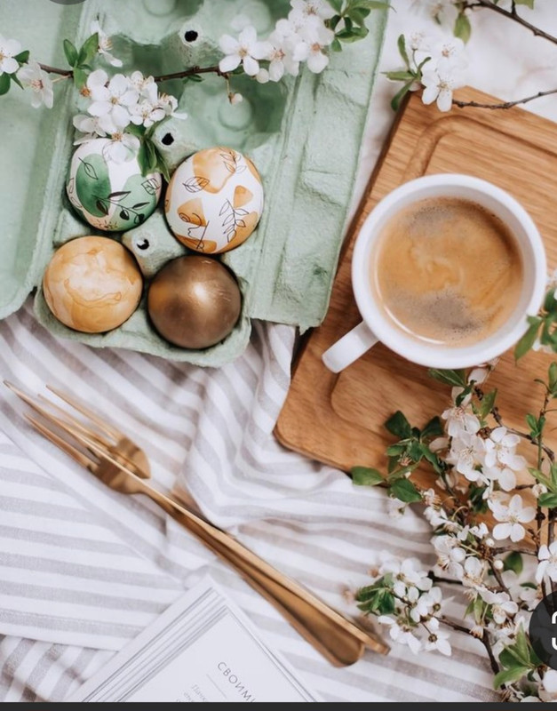 Screenshot_20230328_005816_Pinterest