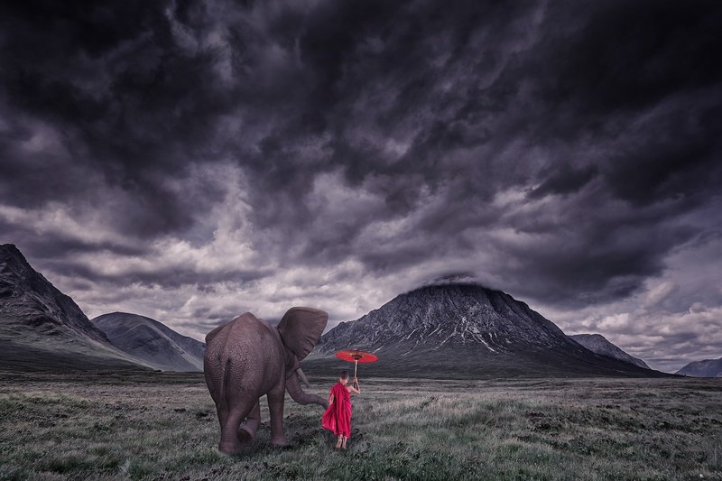 red-elephant-1873439-1280.jpg
