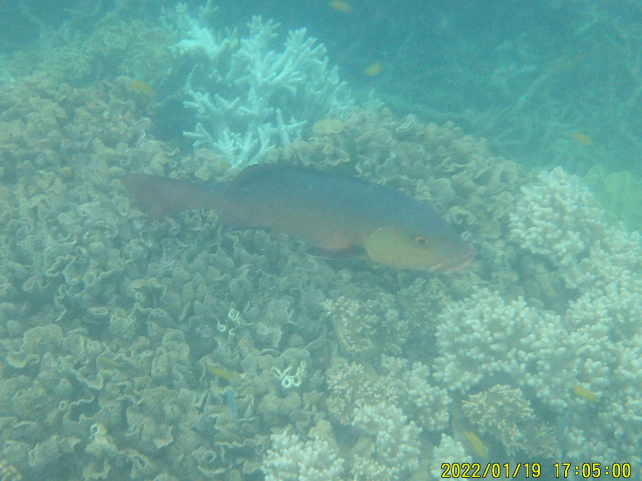 DSCF0002