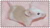 tumblr-59579e5527e4f926122ddb44bffc335f-7f18b5a9-100