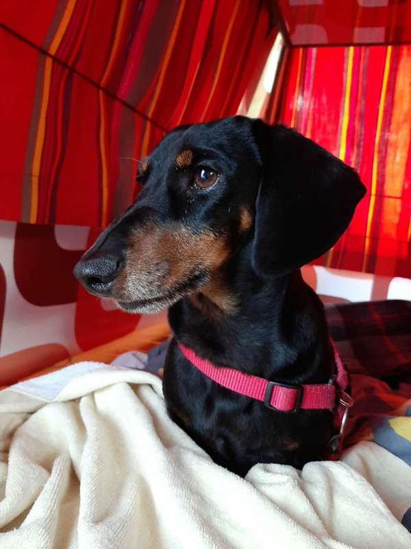 [Image: Resized-I1.jpg]