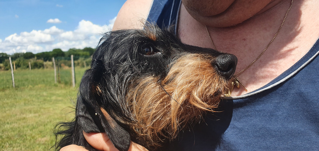 [Image: 20230612-153125.jpg]