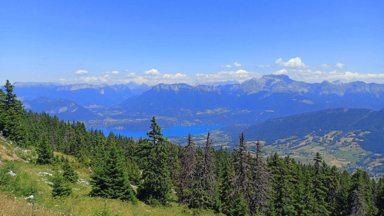 IMG20250711135852 (Large)