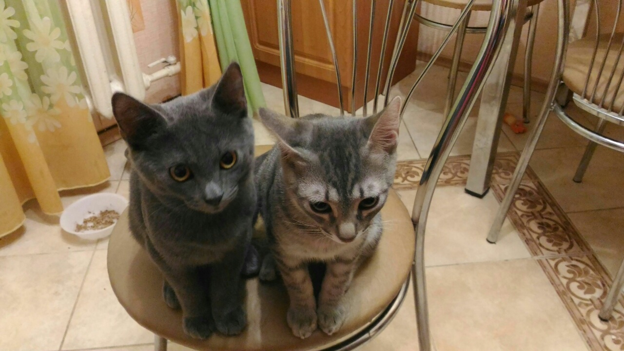 image-0-02-01-fb57eb0e98f8cac1a0494dc75134a06a90