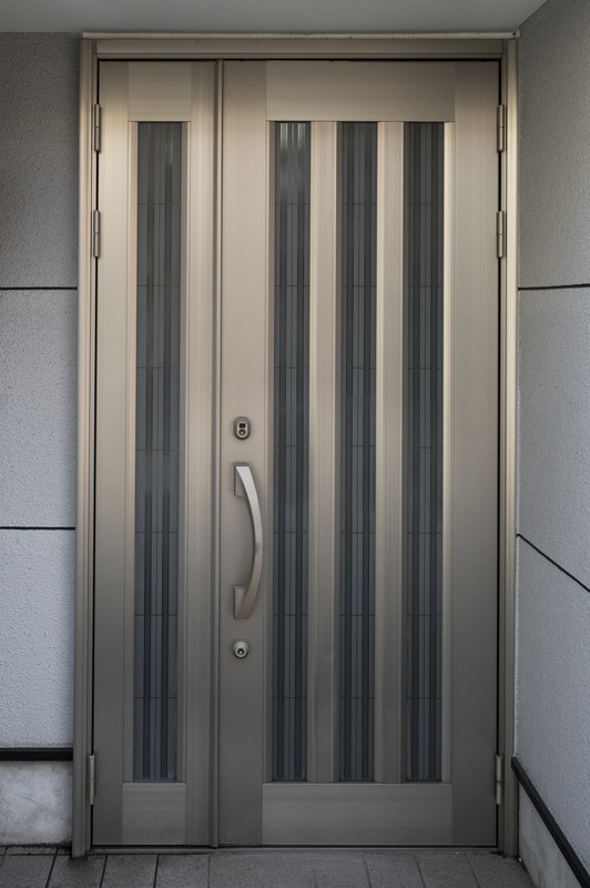 Modern Swing Door Design in Matte Finish