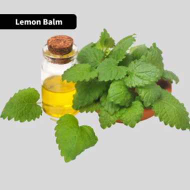 Lemon Balm