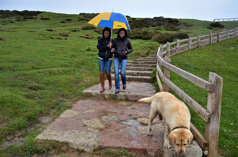 PICOS DE EUROPA-16-5-2013-LEON/ASTURIAS/CANTABRIA - Paseando por España-1991/2016 (43)