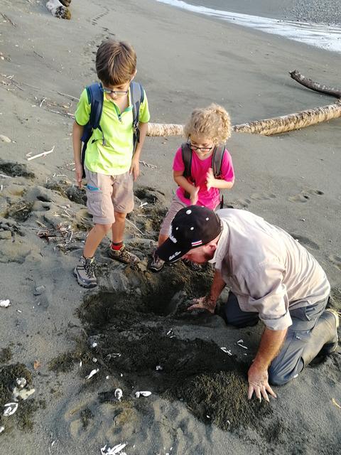 Sierpe-Drake-Isla del Caño-PN Corcovado - Costa Rica con niños. Julio-Agosto 2018 (11)