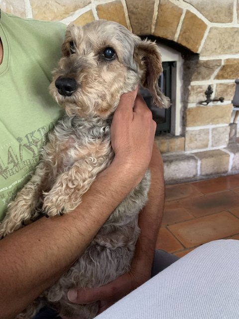 [Image: D727-F092-DF9-B-41-BC-8147-20-DC33-D6-F88-A.jpg]