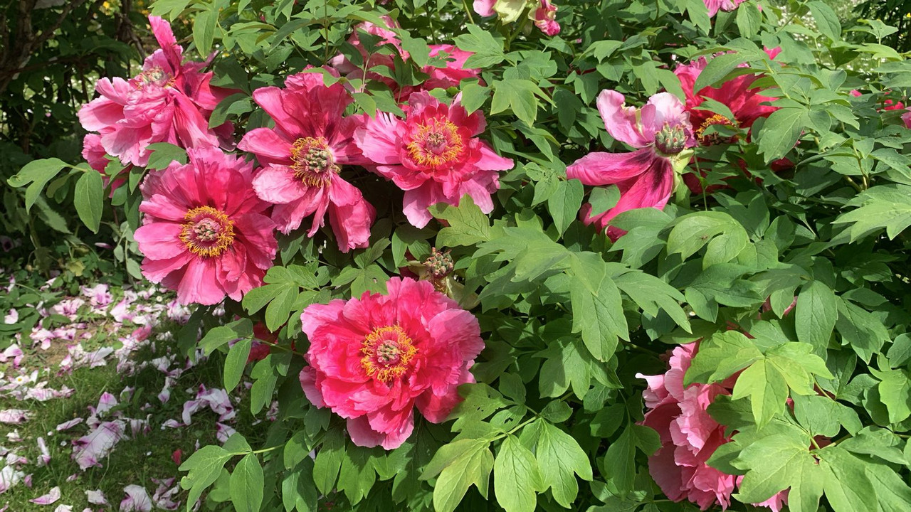 WhatsApp Image 2025-05-26 at 12.05.21