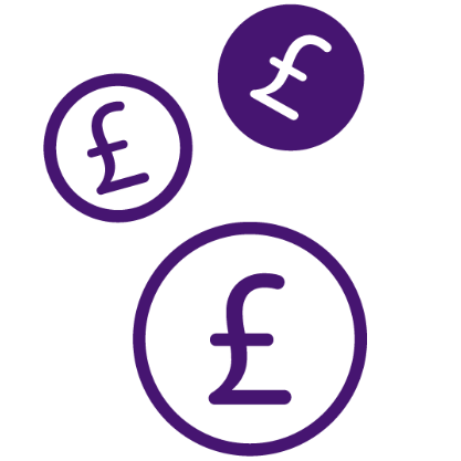 Same budget icon