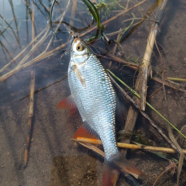 IMG_20230514_190806_771