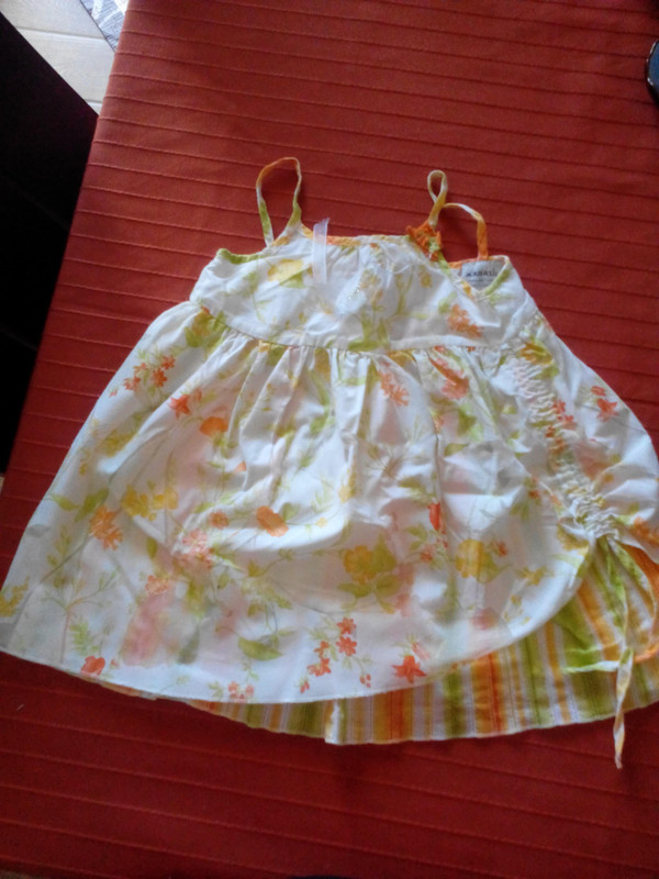 58235696559476073267