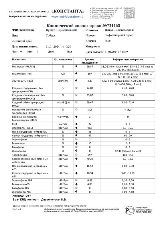 Клинический анализ крови (721168)