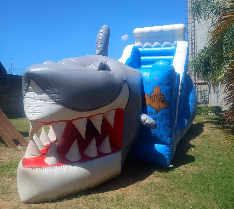 Tobogã Tubarão 2 em 1 - Foto 4