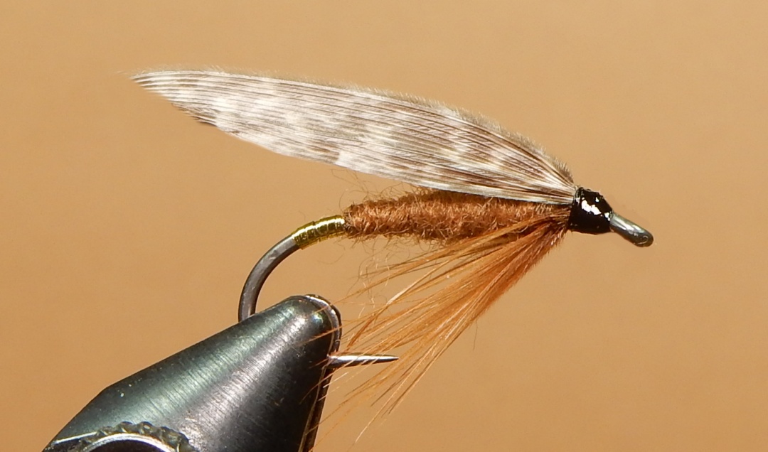 Brown-Stone-1080.jpg