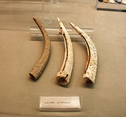 Saldana-015-Museo-de-San-Pedro.jpg