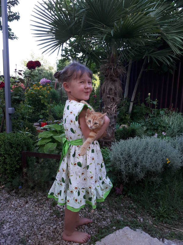 IMG_20210526_1534461b