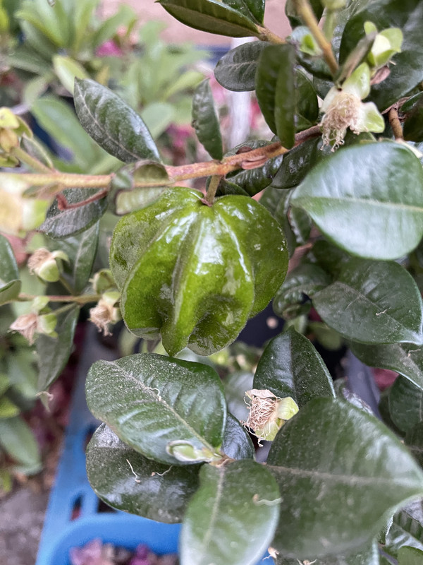 540C53DD-C462-4A99-8D7F-BD827ED875EC