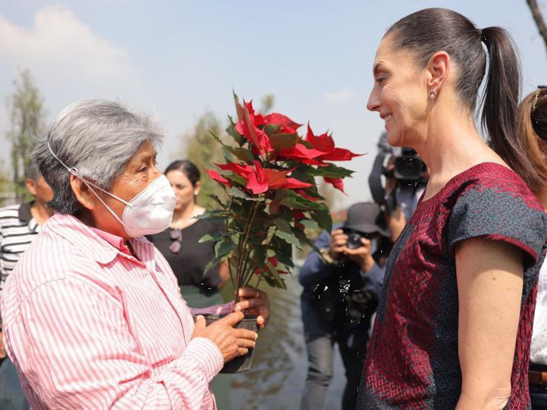 Sheinbaum hace invitación a adquirir Flores de Nochebuena en Xochimilco