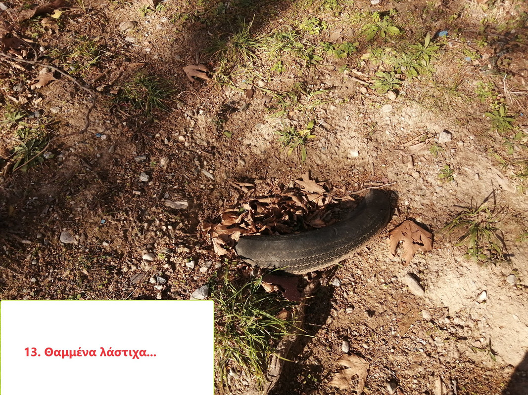 418958386-3544405162555260-2686342752719352849-n