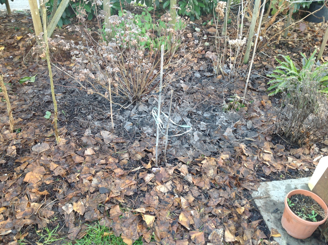 Zuschläge Feuerstelle ausräumen 26.12 (3)