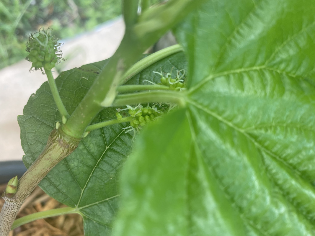 F3A328DF-BA4F-4A20-8628-F44877A320D3