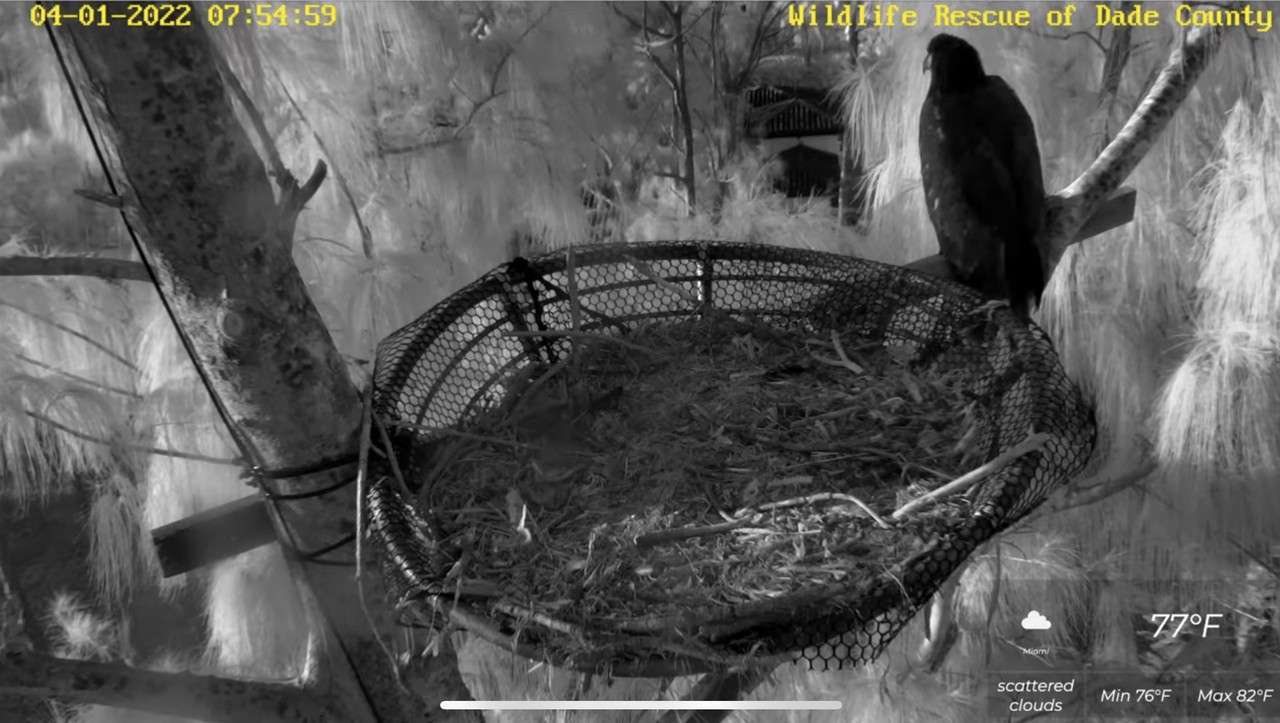 A6E2F522-19FE-4A17-AE6F-5C0CBC3D1A2C