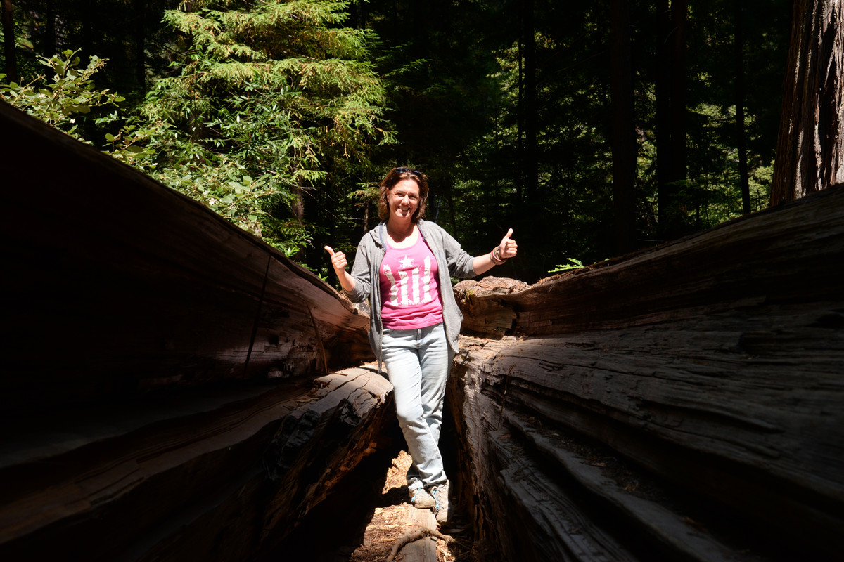 Árboles gigantes, fuegos y volcanes extintos - Oregon y California norte (2018) - Blogs de USA - Rogue River y costa norte de California (35)