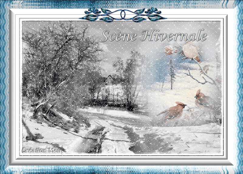 défi n° 32 Animation4