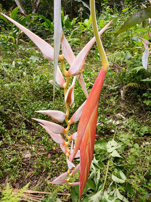 354920054_7533700526656465_8314457042934291429_n