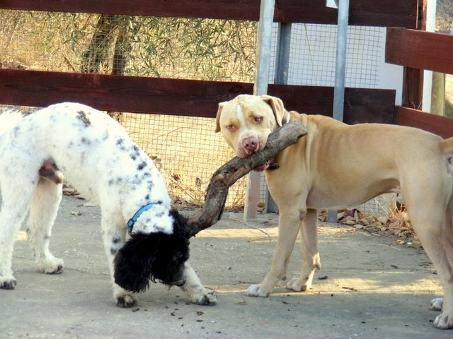 DSCF4341.jpg