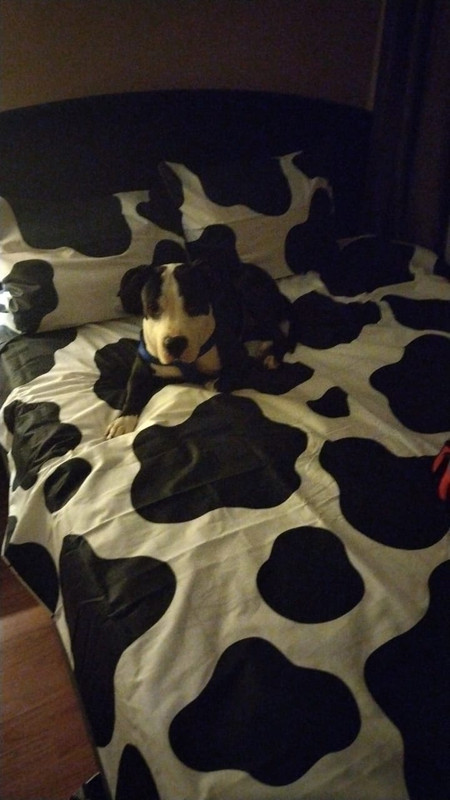 65AA4E62-AFB2-44A8-AD20-4A3C72DEF0A1