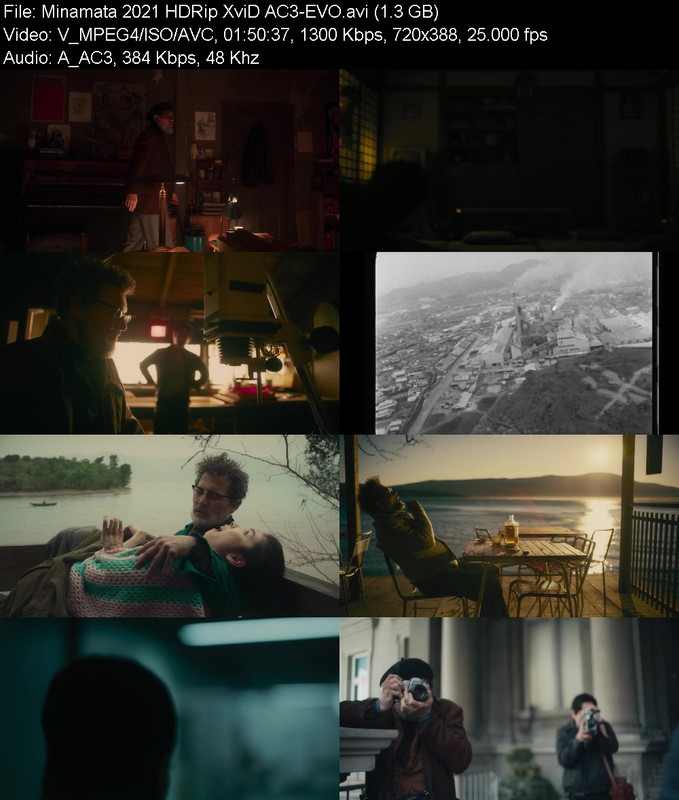 minamata-2021-hdrip-xvid-ac3-evo.jpg