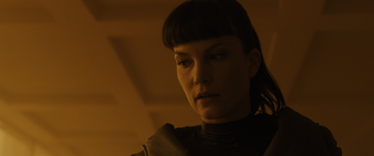 Blade Runner 2049 (2017) V2.mkv_snapshot_02.00.31_[2018.02.03_22