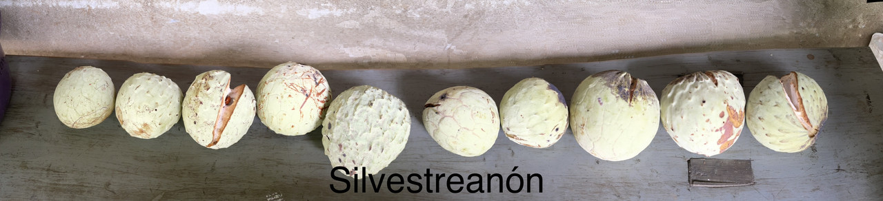 2467CA38-DD4A-4A45-994B-66A98EDB2287