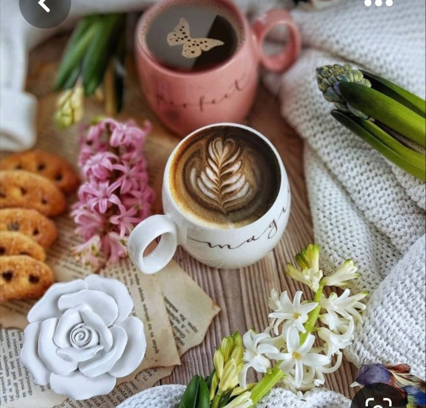 Screenshot_20230322_003902_Pinterest