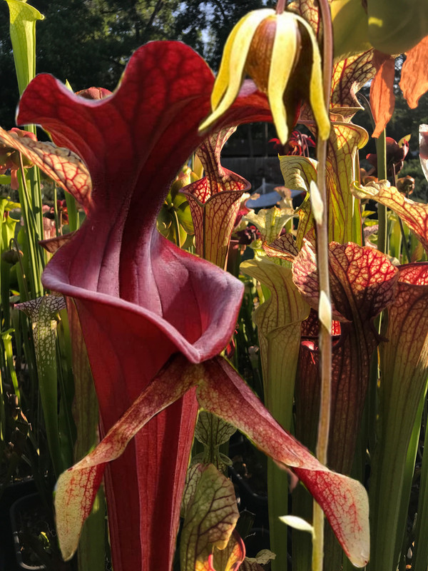 11D32C54-863D-4EC4-99D8-E282BA9BA569