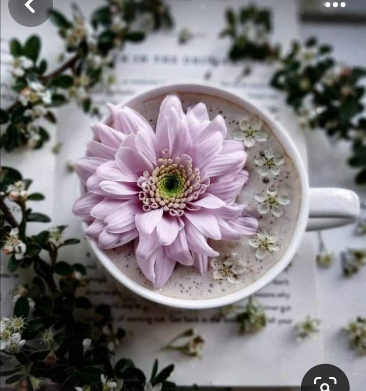 Screenshot_20240428_173535_Pinterest